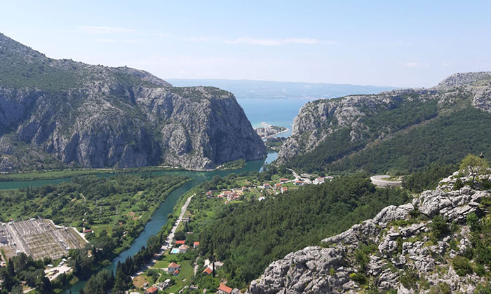 Omis